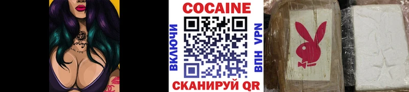COCAIN FishScale  где купить   Ясногорск 