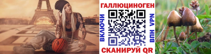 Галлюциногенные грибы Psilocybe  OMG зеркало  Ясногорск 